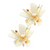 Acrylic Flower Earrings - White